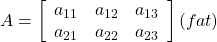 A=\left[\begin{array}{ccc} a_{11} & a_{12} & a_{13} \\ a_{21} & a_{22} & a_{23} \end{array}\right](fat)