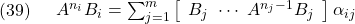 \displaystyle{(39)\quad \begin{array}{l} A^{n_i}B_i=\sum_{j=1}^{m} \left[\begin{array}{ccc} B_j\ \cdots\ A^{n_j-1}B_j \end{array}\right]\alpha_{ij} \end{array} }