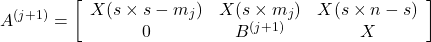 \begin{equation*} A^{(j+1)}= \left[\begin{array}{ccc} X(s\times s-m_j) & X(s\times m_j) & X(s\times n-s) \\ 0 & B^{(j+1)} & X \end{array}\right] \end{equation*}